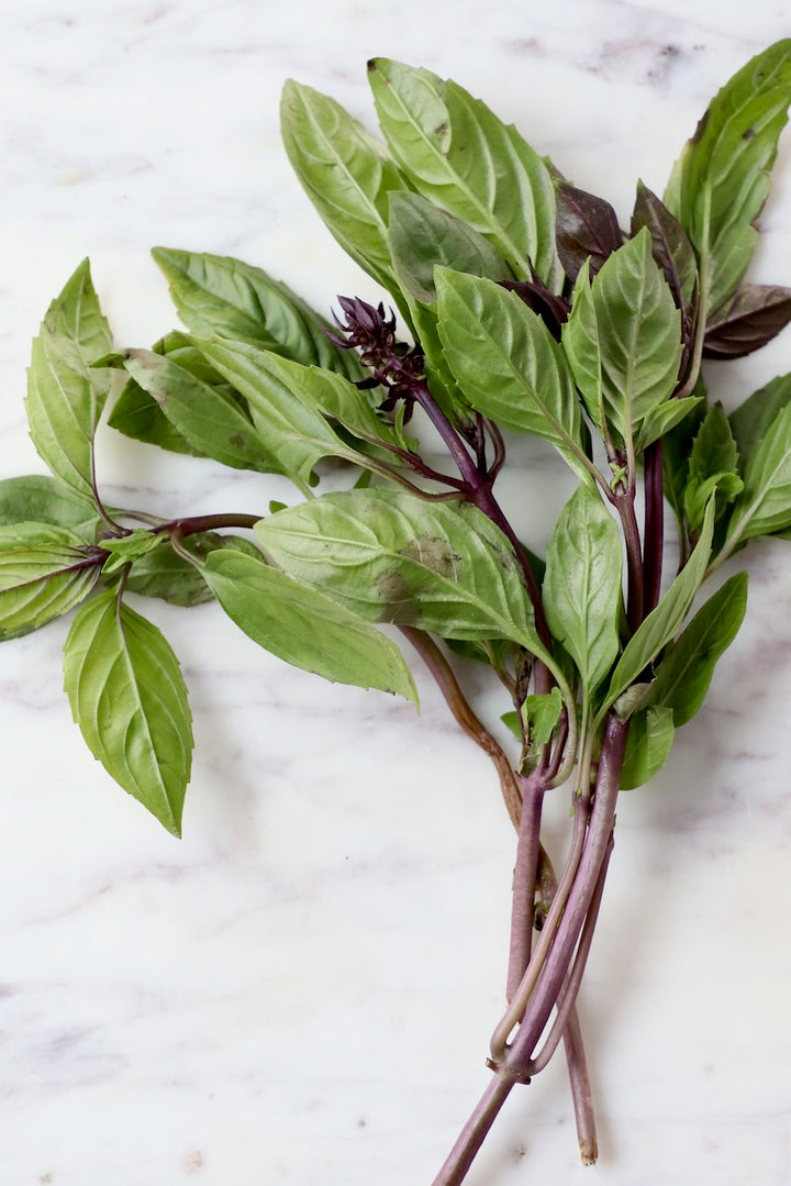 Thai Basil Herb Seeds for Planting