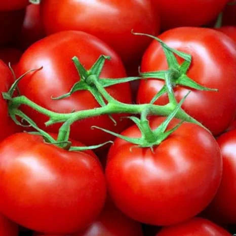Heirloom Square Round Tomato (Summer Variety) Seeds for Planting