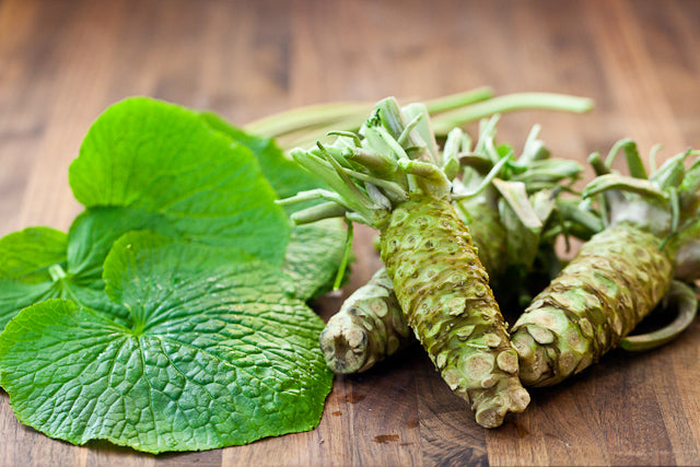 Sawa Wasabi Seeds for Planting - Heirloom & Non-GMO Garden Seeds for Home Garden