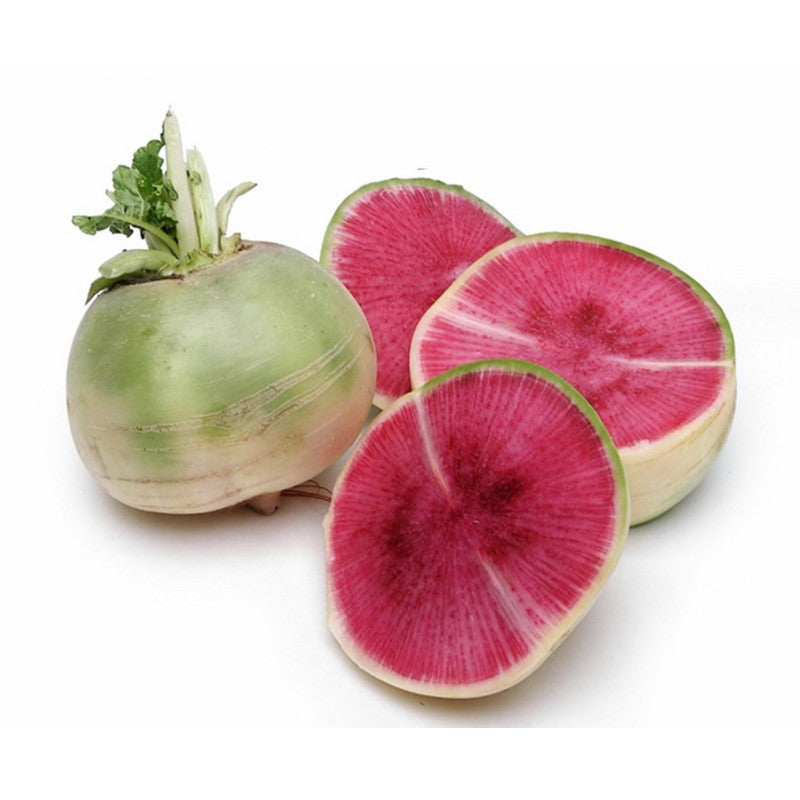 Watermelon Radish Fruit Seeds for Planting – Green, Crisp, and Nutritious, Heilroom Seeds