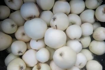 White Apple Fruit Seeds