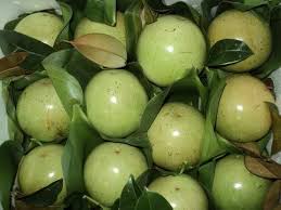 White Chrysophyllum Cainito Fruit Seeds for Planting