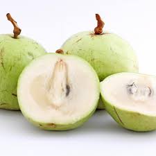 White Chrysophyllum Cainito Fruit Seeds for Planting