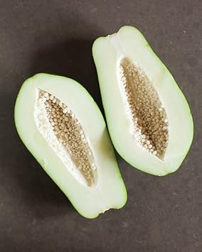 White Papaya Fruit Seeds for Planting