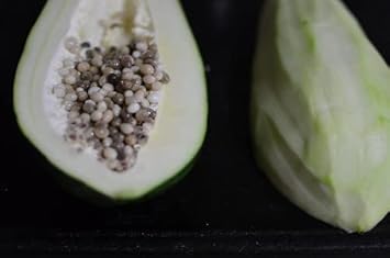 White Papaya Fruit Seeds for Planting