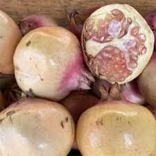 White Pomegranate Fruit Seeds for Planting