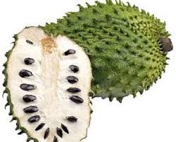 White Pulp Soursop Fruit Seeds for Planting