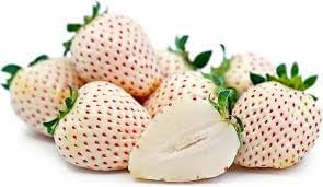 White Strawberry Seeds for Planting