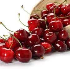 Winterberry Holly Seeds for Festive, Decorative Plants