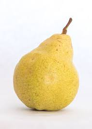 Yellow Bartlett Pear Fruit Seeds for Planting