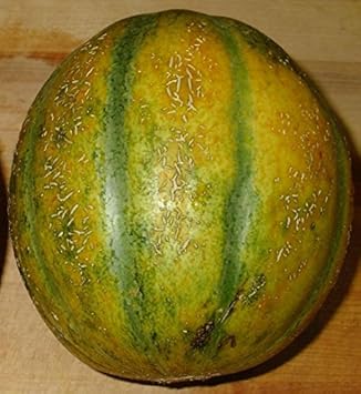 Yellow Cantaloupe Fruit Seeds