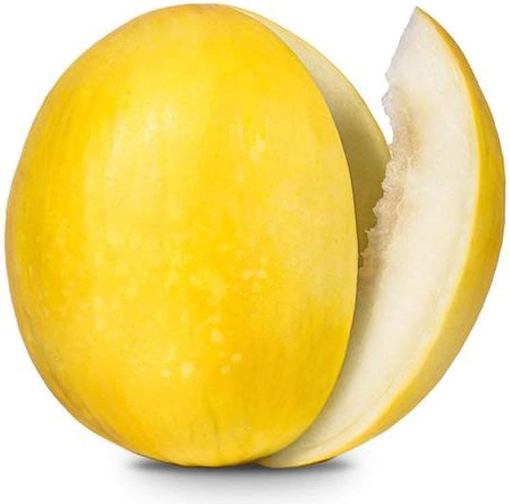 Yellow Cantaloupe Fruit Seeds for Planting