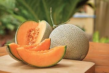 Yellow Cantaloupe Fruit Seeds for Planting