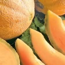 Yellow Cantaloupe Fruit Seeds for Planting