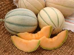Yellow Cantaloupe Fruit Seeds for Planting
