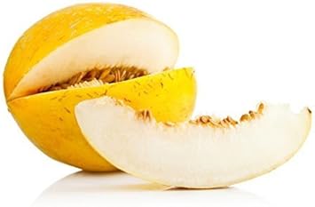 Yellow Casaba Melon Seeds