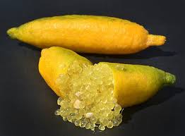 Yellow Gold Finger Lime Fruit Seeds for Planting