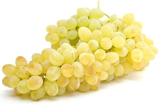Yellow Grape Fruit Seeds for Planting