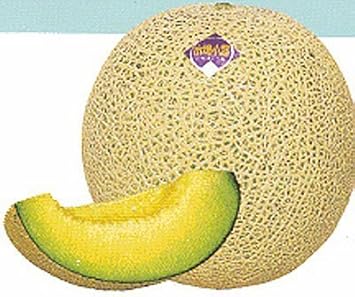Yellow Ichiba Kouji Fruit Seeds for Planting | Heirloom Non-GMO Organic Seeds for Exotic, Delicious Fruits