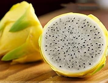 Yellow Melon Fruit Seeds for Planting