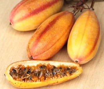 Yellow Passiflora Mollissima Fruit Seeds for Planting