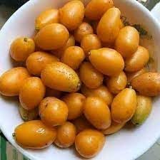 Yellow Spondias Fruit Seeds for Planting
