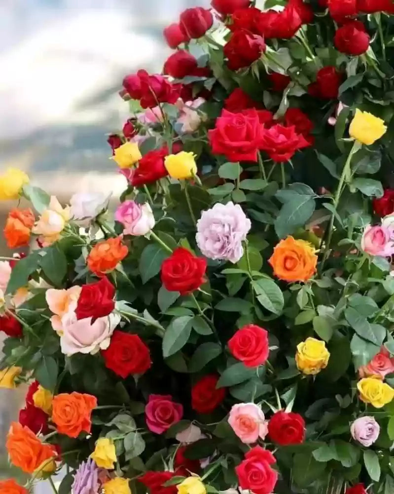 Rose Tree Flower Seeds for Planting – Non-GMO, Heirloom Garden Seeds for Vibrant Growth, High Germination