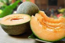 Yubari Melon Seeds for Planting