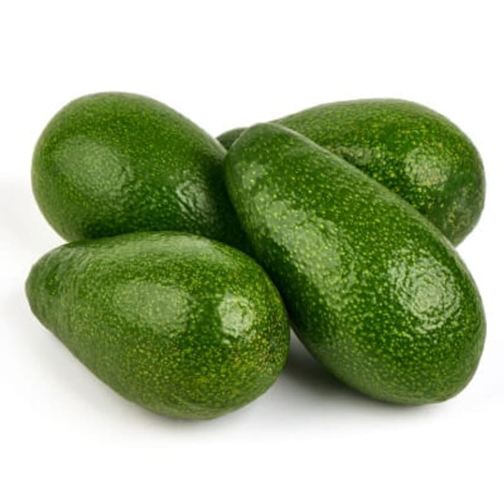 Zutano Avocado Fruit Seeds for Planting